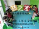国产儿童地胶供应商 儿童地胶价位