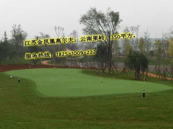 江苏人造果岭建造，江苏高尔夫球场设计，高尔夫模拟器