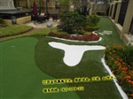 推杆果岭，球场果岭，球场果岭