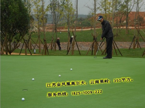 人工果岭草，高尔夫人工草，人工草果岭