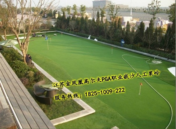 高尔夫果岭，人工果岭，室内高尔夫