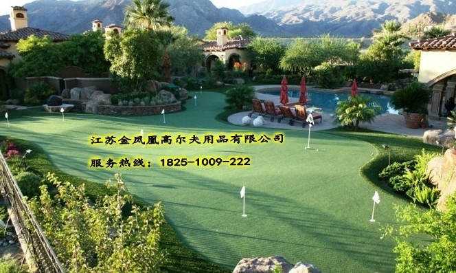 高尔夫果岭，人工果岭，室内高尔夫