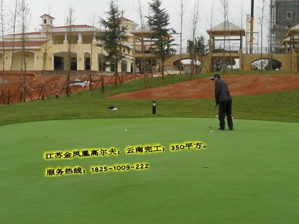 南京仿真果岭，仿真人造果岭，仿真人工果岭