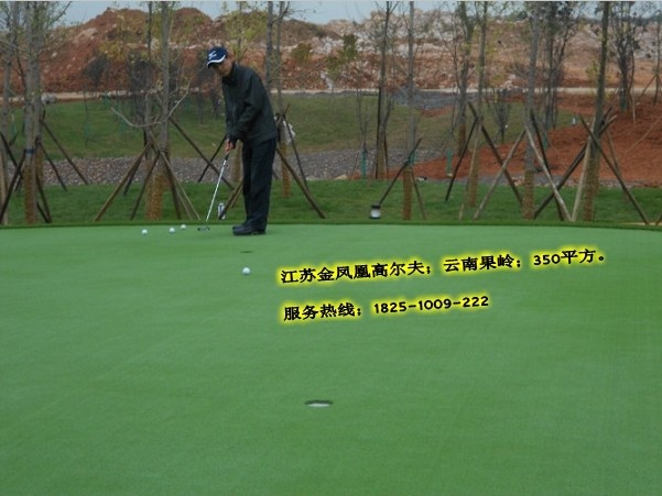 高尔夫果岭草皮/高尔夫果岭草坪/高尔夫专用草坪