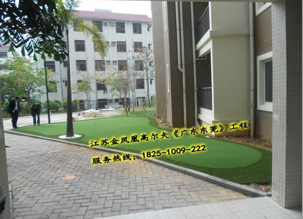 高尔夫果岭草坪-高尔夫果岭草-高尔夫果岭草皮