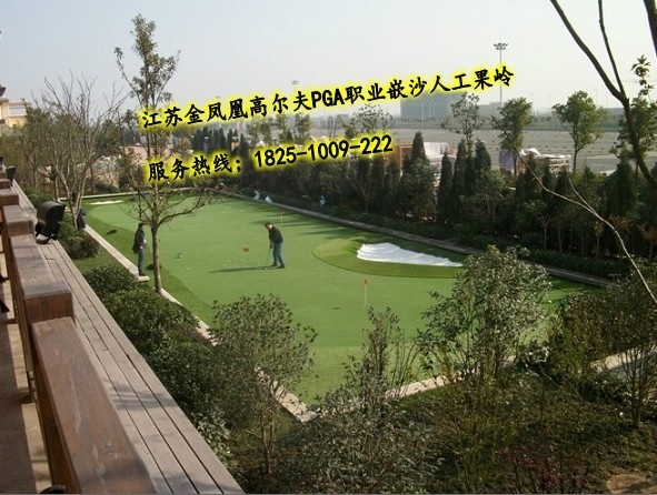 高尔夫果岭草坪-高尔夫果岭草-高尔夫果岭草皮