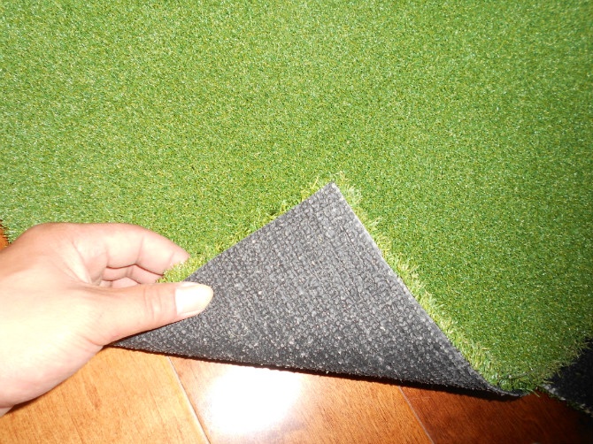 高尔夫专用草皮/高尔夫专用草坪/高尔夫专用果岭草皮