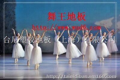 宝鸡羽毛球地胶、延安羽毛球场建设公司、兴平地胶垫