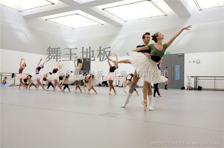 宝鸡羽毛球地胶、延安羽毛球场建设公司、兴平地胶垫