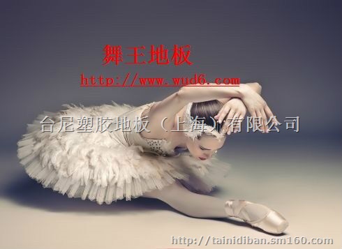 广安艺术团舞台地胶、广元歌舞剧团舞台地胶