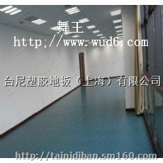 广安艺术团舞台地胶、广元歌舞剧团舞台地胶