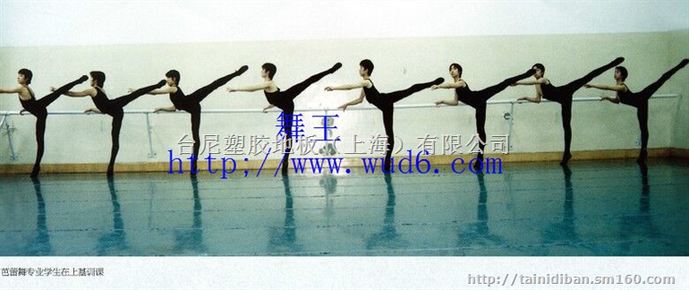 巴中戏剧学院舞台地胶、雅安话剧团舞台地胶