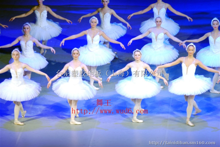 巴中戏剧学院舞台地胶、雅安话剧团舞台地胶