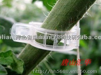 批发蔬菜吊放器,哪里出售植株吊放器