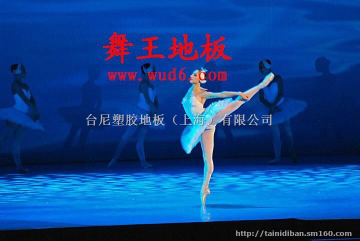 海西羽毛球比赛场地、玉树塑料地板、格尔木羽毛球地胶