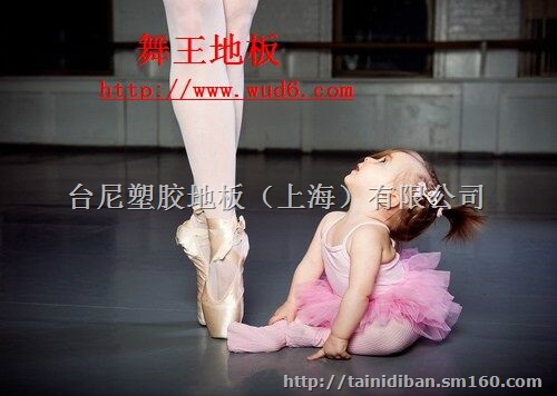 海南健身房地胶、海口地胶、三亚健身房地胶