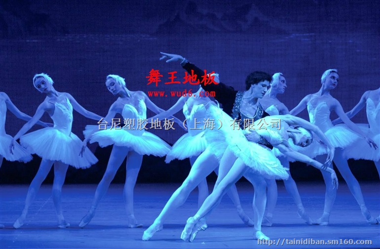 琼海羽毛球地胶、儋州羽毛球地塑、文昌羽毛球地胶