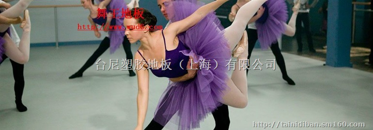 蓝球pvc塑胶地板、上海pvc地板厂家