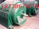 专业维修调换 JR137-8/280KW/380V
