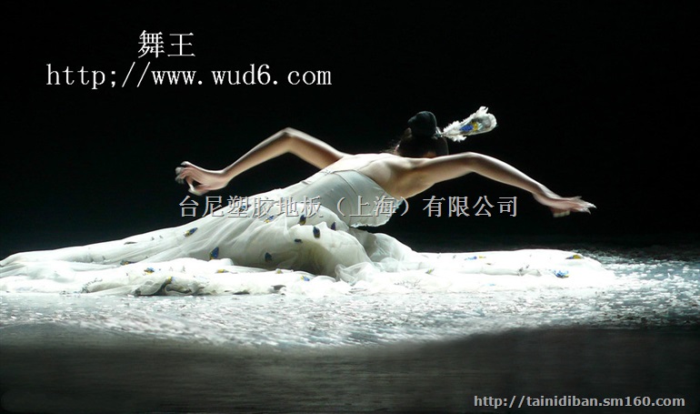 朝阳舞蹈影视剧院专用地胶、瓦房店型文艺演出舞台地胶