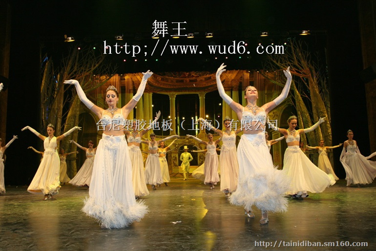 朝阳舞蹈影视剧院专用地胶、瓦房店型文艺演出舞台地胶