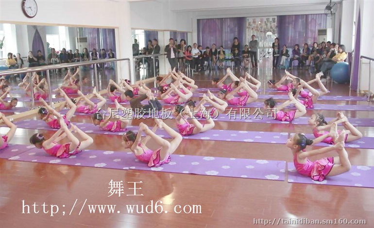 马鞍山体育场地地胶、宿州蓝球场地专用地垫