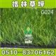 格林直销   直销人造体育馆草坪