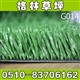 厂家促销  热款人造足球场网丝草