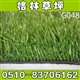 厂家直销  人造仿真草坪