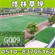 厂家直销   人工运动场草坪