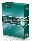 金山WPS Office 2013 专业版盒装