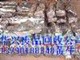 大岭山镇锌合金回收公司