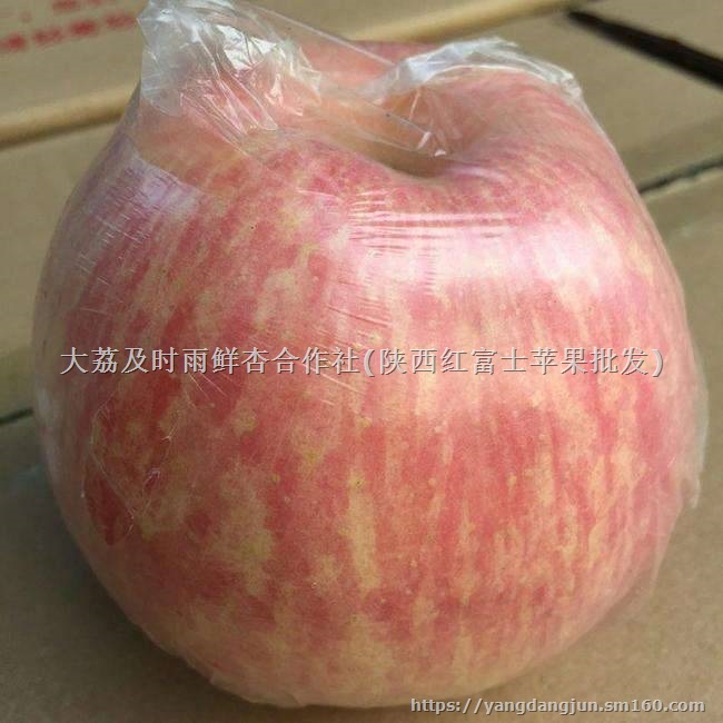 陕西红富士苹果价格