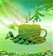 进口印度红茶的海关编码是多少