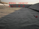 2015供应藕池防渗膜//13615383133-