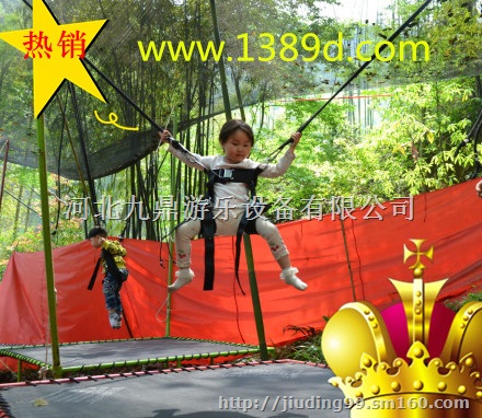 山东电动毛绒动物车,儿童碰碰车,小蹦极,秋千鱼