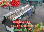 西红柿选果机