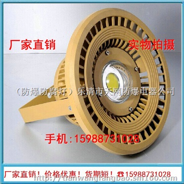 加油站 工厂用BAD85-S 防爆高效节能LED灯