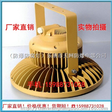 加油站 工厂用BAD85-S 防爆高效节能LED灯