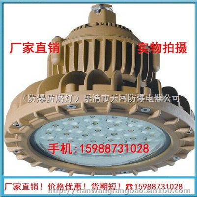 加油站 工厂用BAD85-S 防爆高效节能LED灯