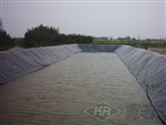 2015河南藕池防渗膜//13615383133土