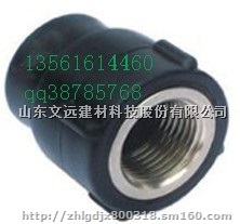 文远PE给水管件PE外丝直接外牙直接