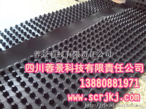 热销塑料排水板