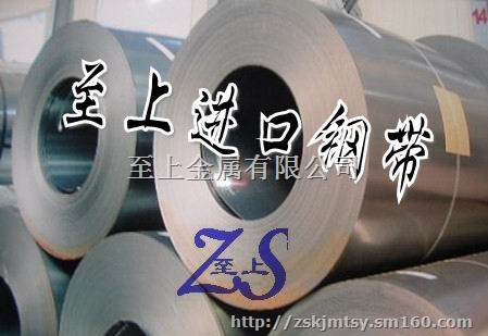 进口防锈单光带SPCE