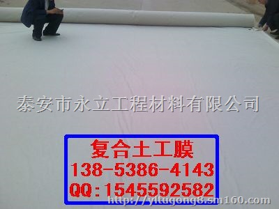 复合土工膜质优价廉环保耐用