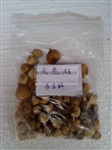 供应中药标本-图为山慈姑-百合科