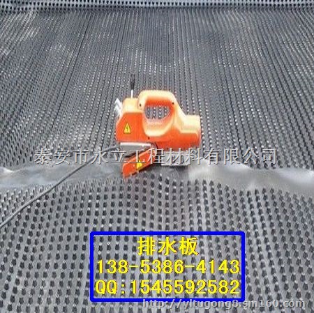 HDPE塑料排水板厂家/低价热销