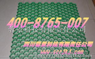 植草格绿色环保