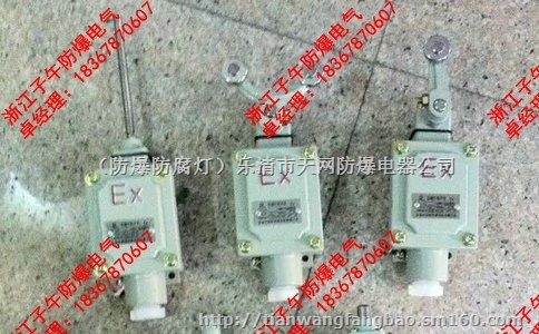 防爆行程开关 BZX51-6D L S Z N