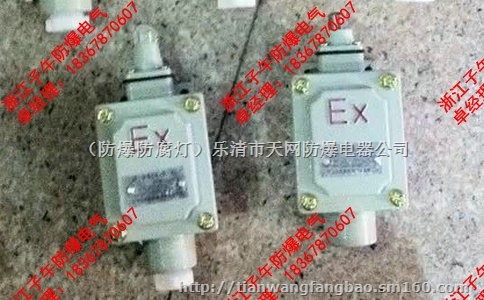 防爆行程开关 BZX51-6D L S Z N